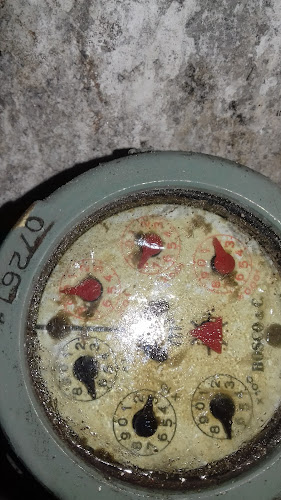 Reviews of Pizzeria La Cantina in Marino - Ristorazione