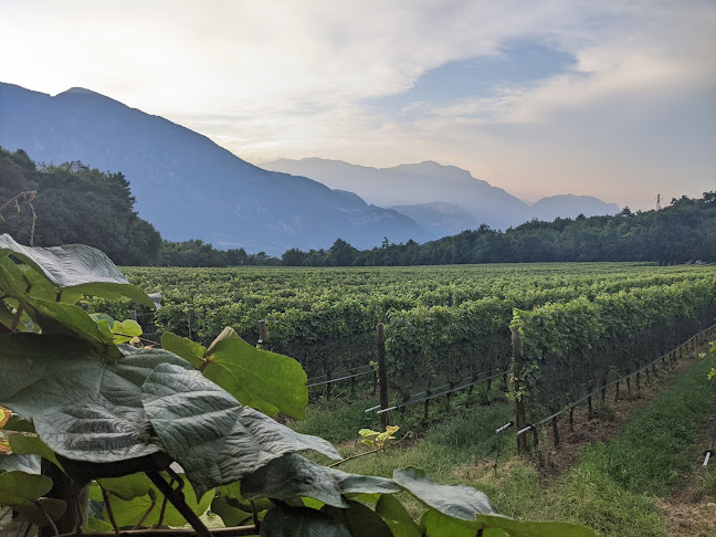 Ristorante Pizzeria Rosalpina - Ristorazione