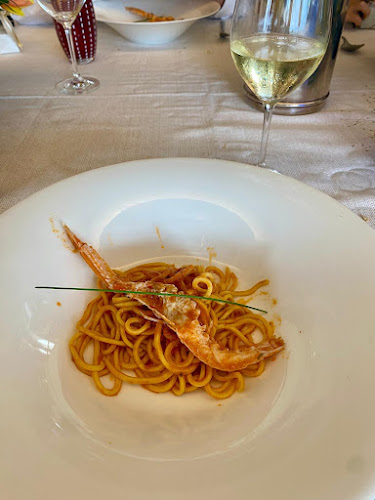 Comentarii opinii despre Carlo Ferraioli