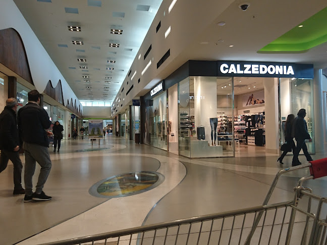 Via Bisaura, 3, 48018 Faenza RA