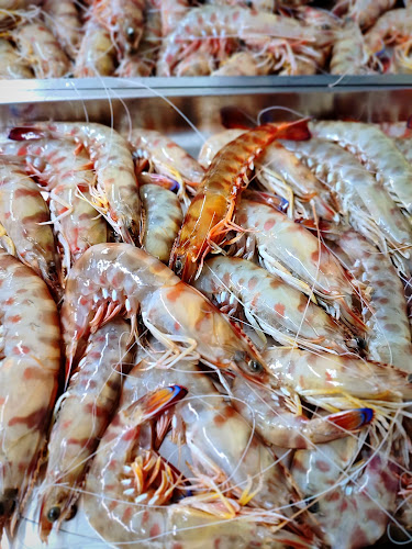 OTTO RISTORANTE DI ANTONIO GELONE - Ristorazione