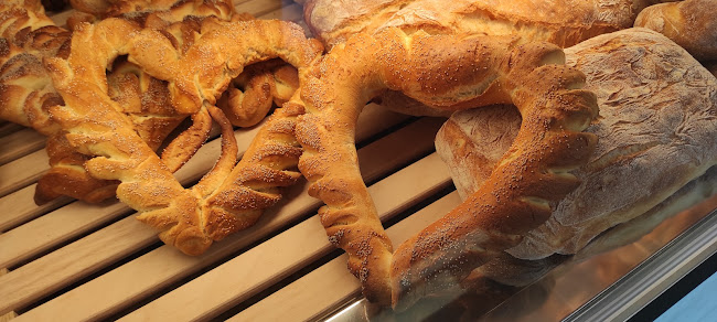 Opinii despre Panificio Kore Enna în Enna - Ristorazione