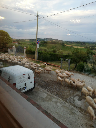 CUCINA della NONNA - Ristorazione