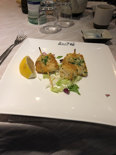 Comentarii opinii despre Ristorante Giapponese Sakura