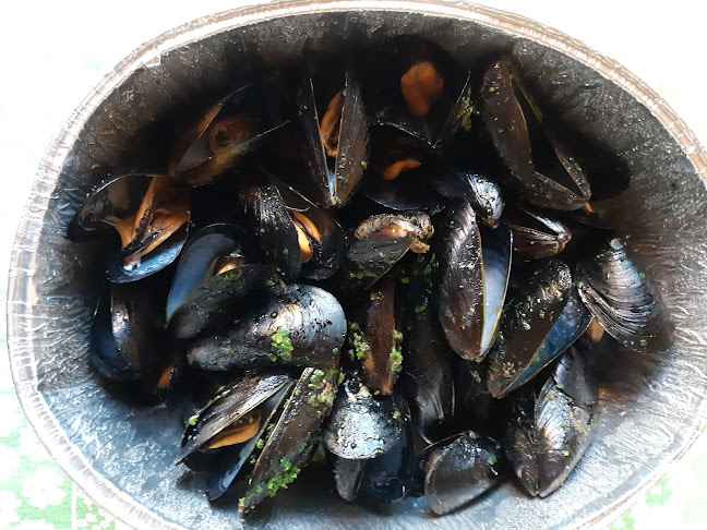 Via Modena, 146, 40017 San Giovanni in Persiceto BO