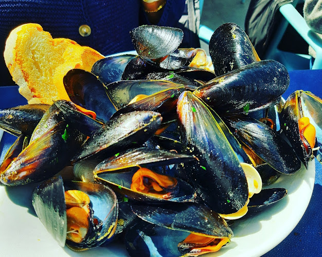 Opinii despre Altamarea Rimini | Ristorante di Pesce | Cucina Romagnola | Piadina | Pizza | Burger în Rivabella - Ristorazione