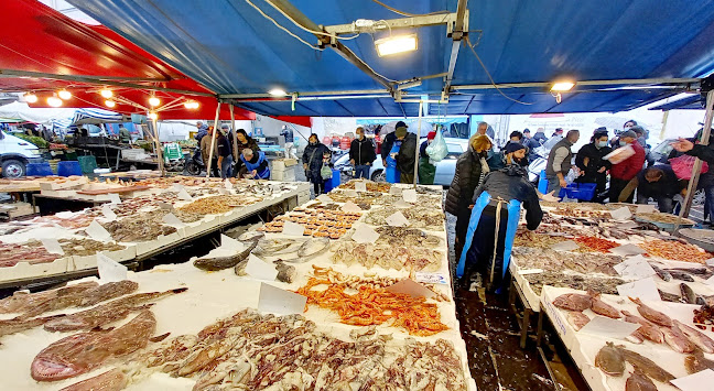 Pescheria Pizzi Pizzi di D'Anna Vincenzo - Ristorazione