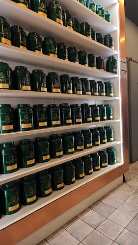 Comentarii opinii despre Khami