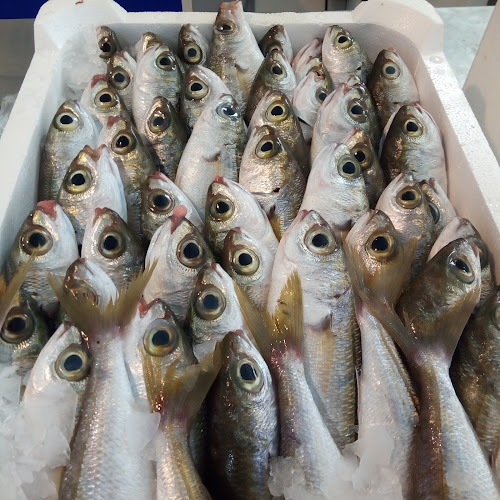 Via Operai, 93, 98051 Barcellona Pozzo di Gotto ME