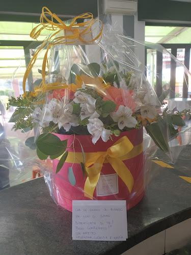 Bar Lady - Diano Marina