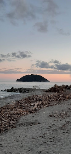 Opinii despre Mâ de Mâ în Albenga - Ristorazione