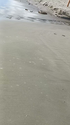 http://www.graf-alassio.it/