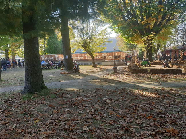 Puravida - San Martino Siccomario