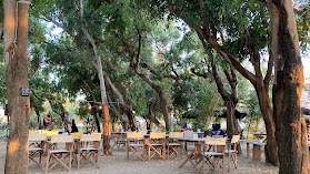 Sporting Caffè