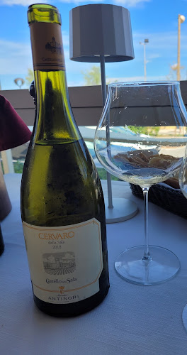 Cuoco Di Bordo - Senigallia