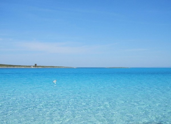 Via Sassari, 14, 07040 Stintino SS