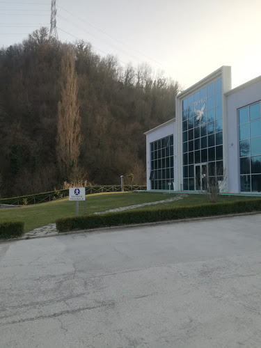 Trivelli Tartufi - Roccafluvione