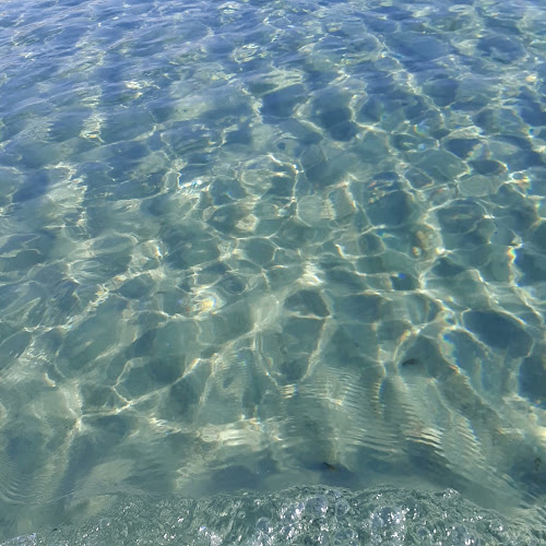 Comentarii opinii despre El Barrio del Mar