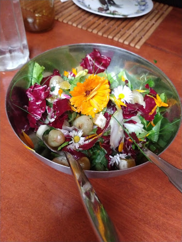 vovolina - Senigallia