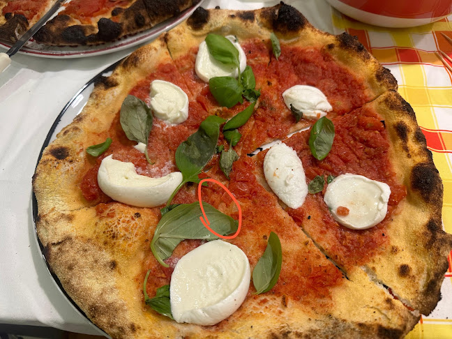 Pizzeria Cucina Bar Freestate - Ruvo di Puglia