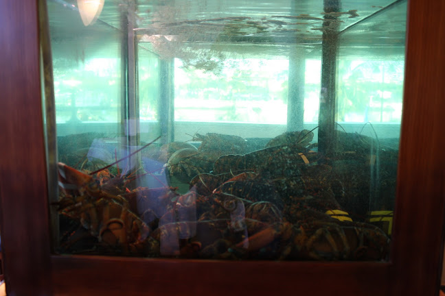 Carlo Ferraioli - Ristorazione