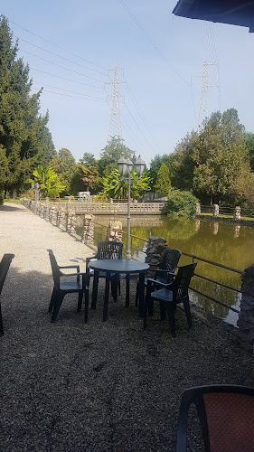 Reviews of Ristorante Albergo Dei Cacciatori in Verolengo - Ristorazione