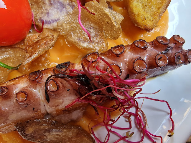 Pesa Pubblica Open Times