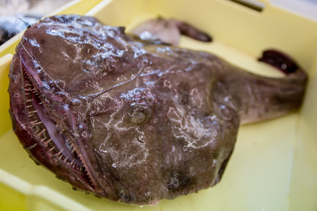 Pescheria da Ninin - Senigallia