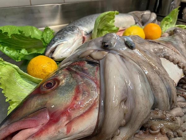 Via Giosuè Carducci, 10, 03043 Cassino FR, Italia