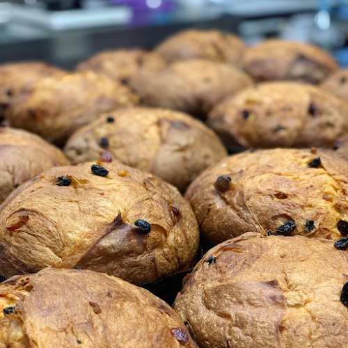 Comentarii opinii despre Lab24 S.r.l.