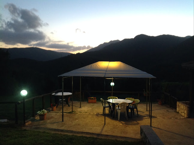 Comentarii opinii despre Agrifor2