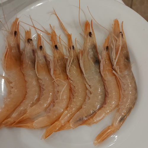 Mangiamare - Ristorazione