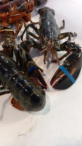 Via Cesare Carmignano, 51/53/55, 80142 Napoli NA