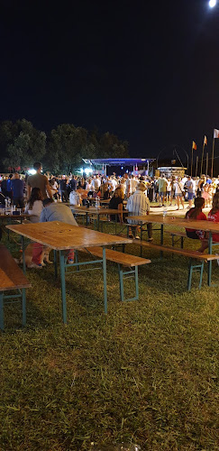 Sagra Della Contrada Il Pozzo - Querceta