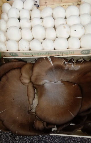 Ortofrutta Perini - Castiglione delle Stiviere