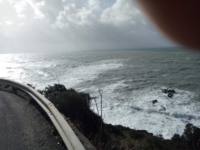 Opinii despre Da Tino's Pizzetteria Paninoteca în Scalea - Ristorazione