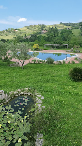 Ristorante Il Daino - San Piero Patti