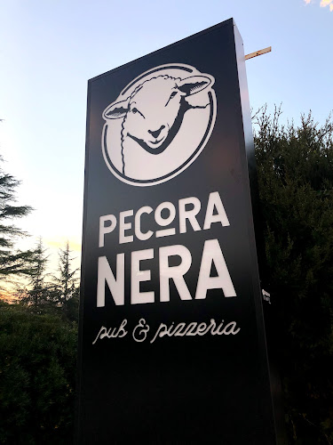 Opinii despre Pecora Nera Pub & Pizzeria în Senigallia - Ristorazione