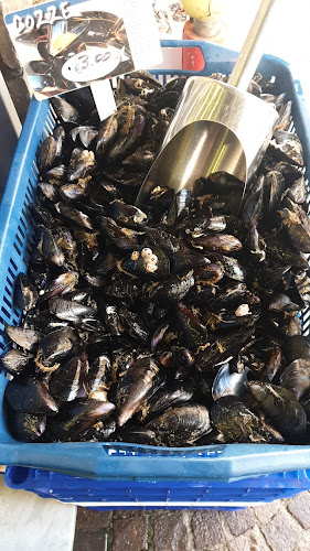 Pescheria Arce - Salerno