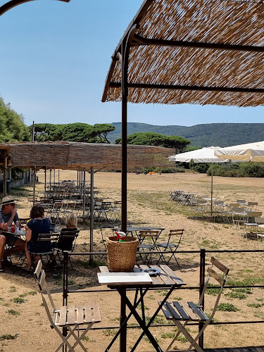 al Polpo Marino - Piombino