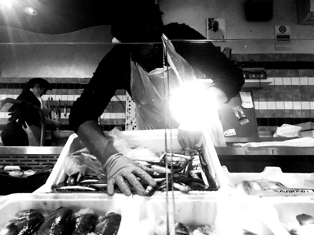 Ittica Luciani Srl - Fossacesia