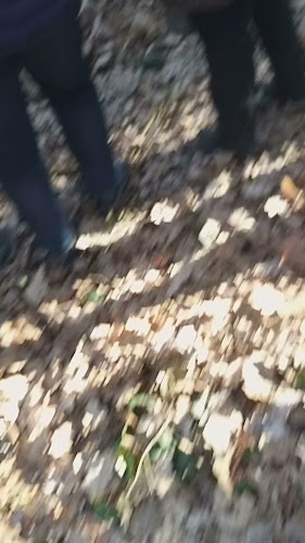 Ristorante Da Angelino - Ristorazione