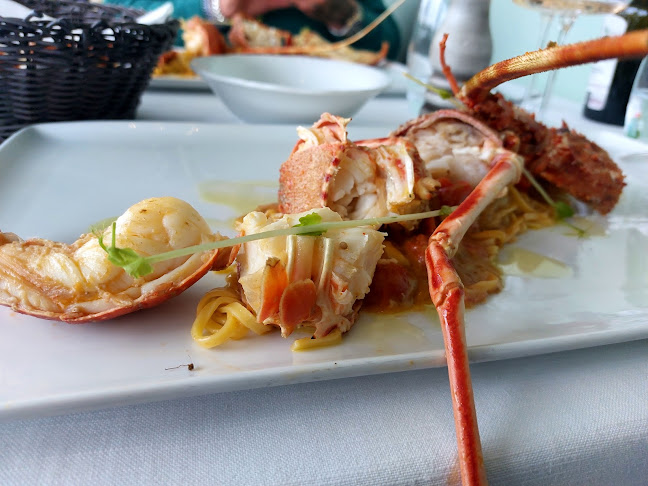 Cuoco Di Bordo - Senigallia