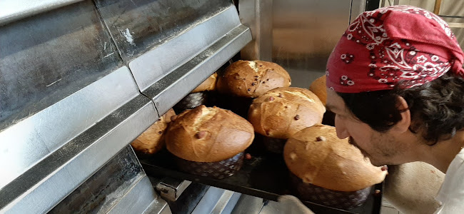 Comentarii opinii despre Panificio Bellini Di Mirko E Cinzia S.N.C.