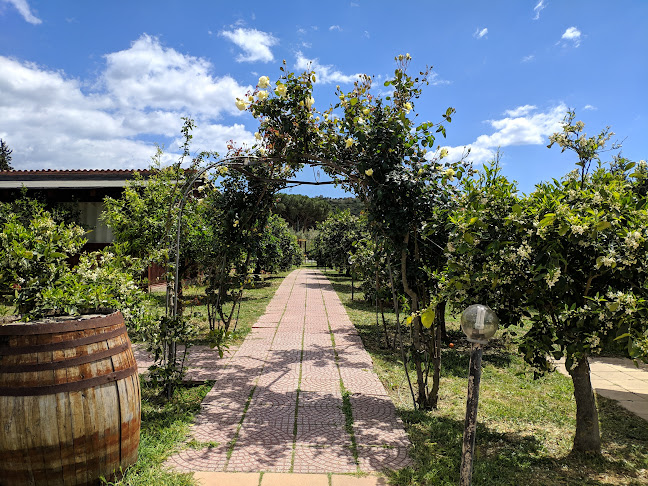 Comentarii opinii despre Il Frutteto