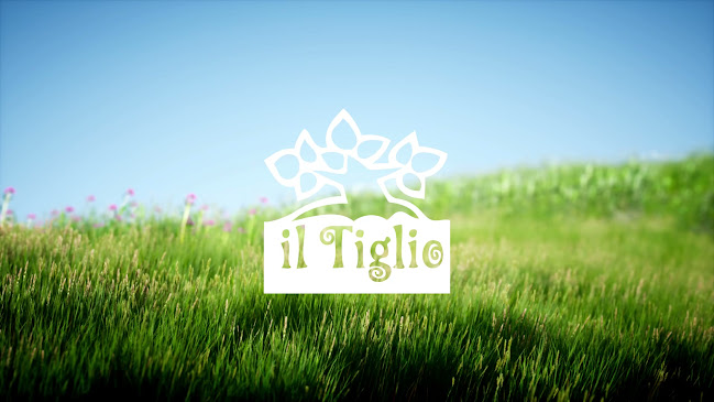 Comentarii opinii despre Il Tiglio