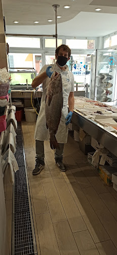 Via Mario Paterni, 6, 61121 Pesaro PU