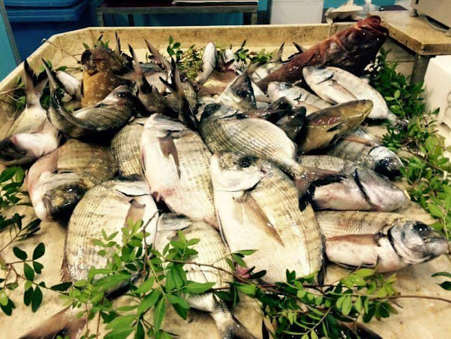 Reviews of Pescheria Da Piero in Lecce - Ristorazione