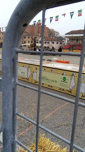 Piazza Martiri della Libertà, 37, 30035 Mirano VE