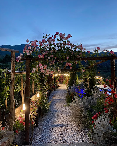 Dimora Vinea - Ristorazione